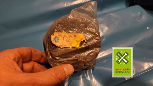 IMG_20231128_172842